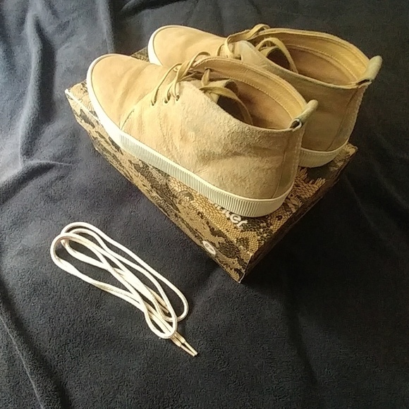 Pointer Alvar - Picture 2 of 2